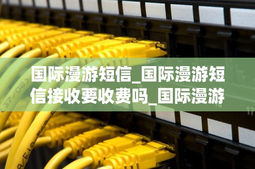 国际漫游短信_国际漫游短信接收要收费吗_国际漫游短信：连接全球的桥梁