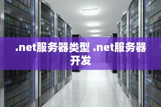 .net服务器类型 .net服务器开发