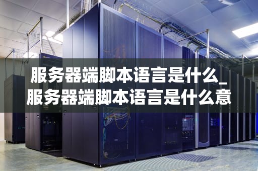 服务器端脚本语言是什么_服务器端脚本语言是什么意思_服务器端脚本语言的探索与应用