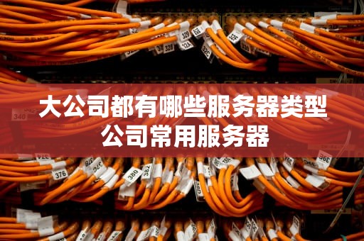 大公司都有哪些服务器类型 公司常用服务器