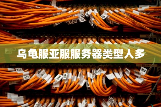 乌龟服亚服服务器类型人多