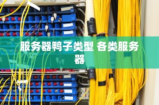 服务器鸭子类型 各类服务器