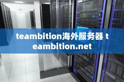 teambition海外服务器 teambition.net