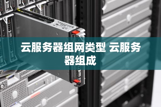 云服务器组网类型 云服务器组成