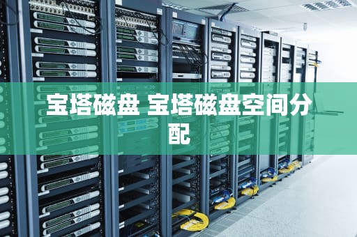 宝塔磁盘 宝塔磁盘空间分配