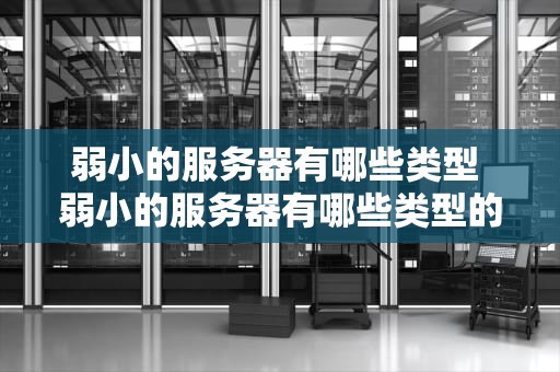 弱小的服务器有哪些类型 弱小的服务器有哪些类型的游戏