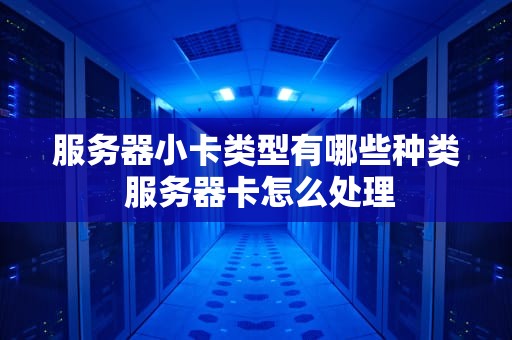 服务器小卡类型有哪些种类 服务器卡怎么处理