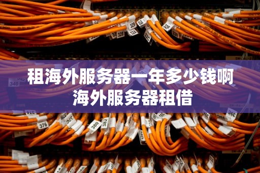 租海外服务器一年多少钱啊 海外服务器租借
