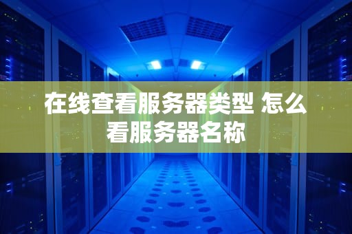 在线查看服务器类型 怎么看服务器名称