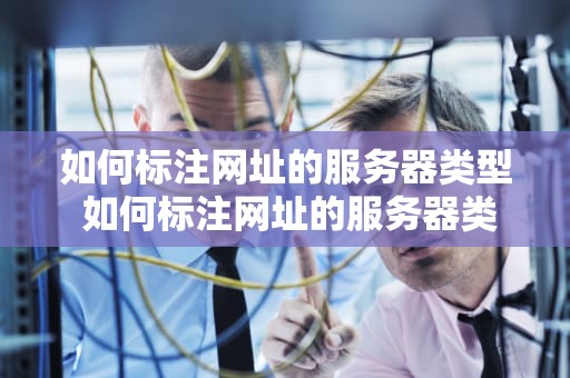 如何标注网址的服务器类型 如何标注网址的服务器类型号