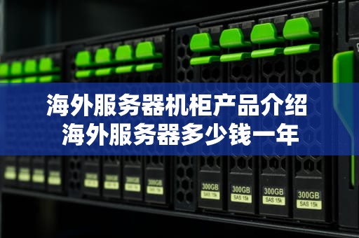 海外服务器机柜产品介绍 海外服务器多少钱一年