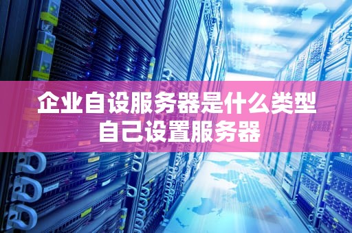 企业自设服务器是什么类型 自己设置服务器