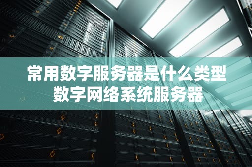 常用数字服务器是什么类型 数字网络系统服务器