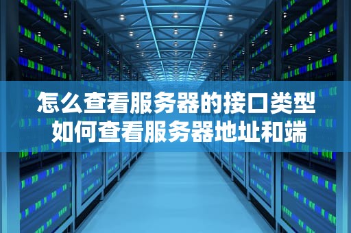怎么查看服务器的接口类型 如何查看服务器地址和端口