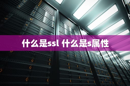什么是ssl 什么是s属性