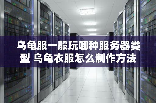 乌龟服一般玩哪种服务器类型 乌龟衣服怎么制作方法