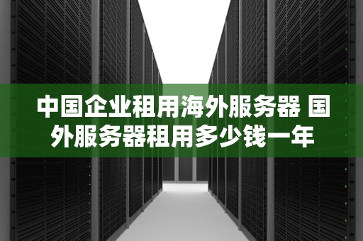 中国企业租用海外服务器 国外服务器租用多少钱一年