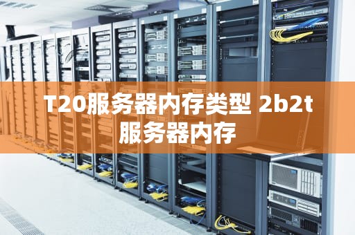 T20服务器内存类型 2b2t服务器内存