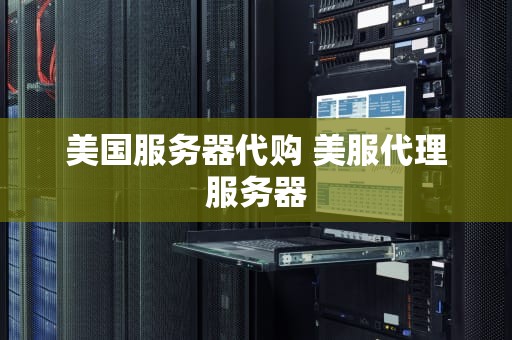 美国服务器代购 美服代理服务器