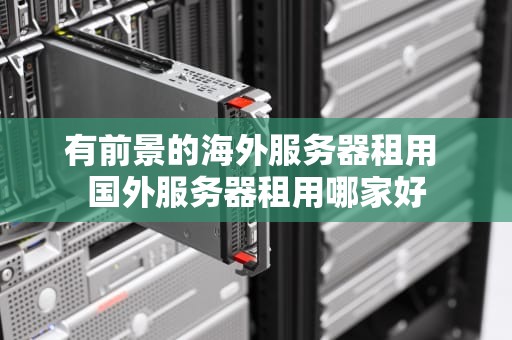 有前景的海外服务器租用 国外服务器租用哪家好