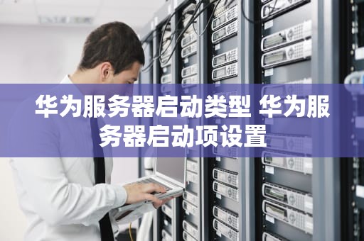 华为服务器启动类型 华为服务器启动项设置