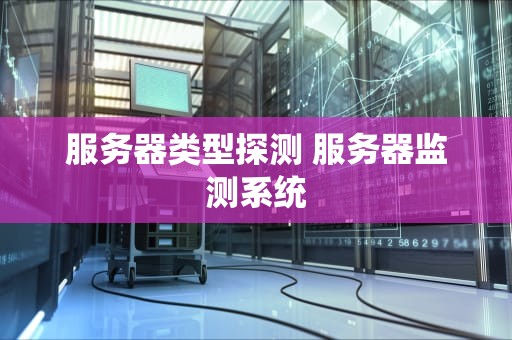 服务器类型探测 服务器监测系统