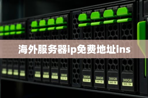 海外服务器ip免费地址ins