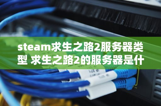 steam求生之路2服务器类型 求生之路2的服务器是什么鬼