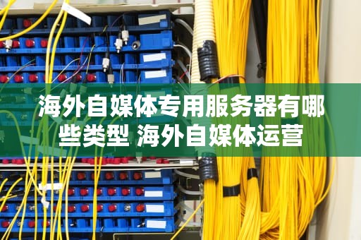 海外自媒体专用服务器有哪些类型 海外自媒体运营