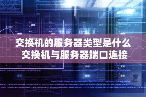 交换机的服务器类型是什么 交换机与服务器端口连接类型