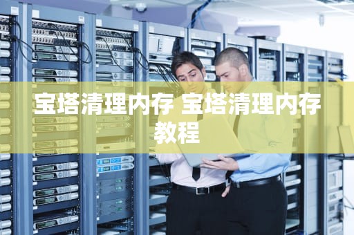 宝塔清理内存 宝塔清理内存教程