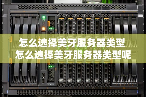 怎么选择美牙服务器类型 怎么选择美牙服务器类型呢