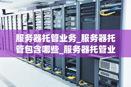 服务器托管业务_服务器托管包含哪些_服务器托管业务：理解、选择与优化