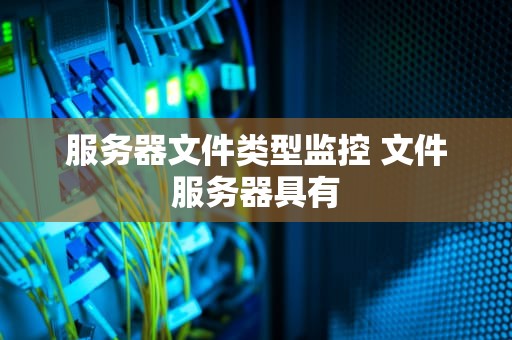 服务器文件类型监控 文件服务器具有