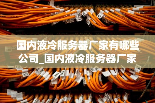 国内液冷服务器厂家有哪些公司_国内液冷服务器厂家有哪些公司呢_国内液冷服务器厂家的发展现状与前景
