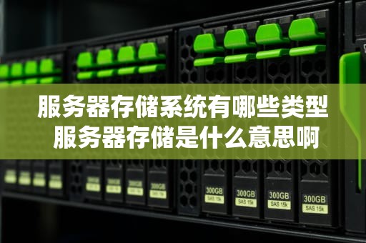 服务器存储系统有哪些类型 服务器存储是什么意思啊