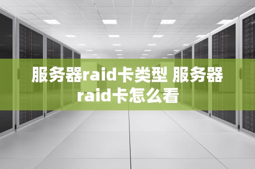 服务器raid卡类型 服务器raid卡怎么看