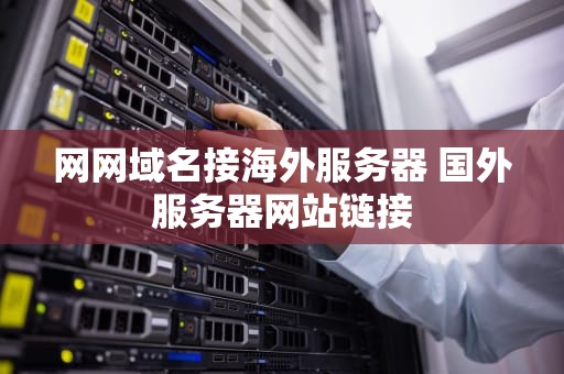 网网域名接海外服务器 国外服务器网站链接