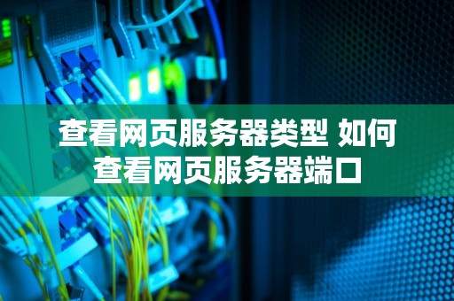 查看网页服务器类型 如何查看网页服务器端口