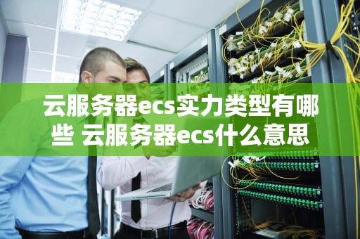 云服务器ecs实力类型有哪些 云服务器ecs什么意思