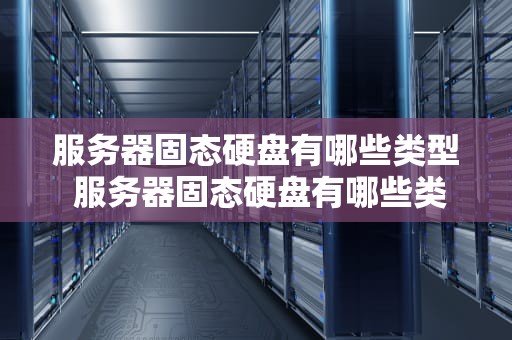 服务器固态硬盘有哪些类型 服务器固态硬盘有哪些类型的