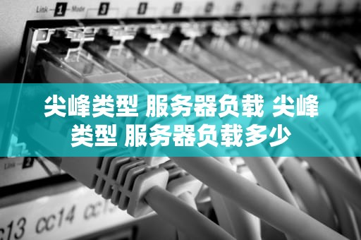 尖峰类型 服务器负载 尖峰类型 服务器负载多少