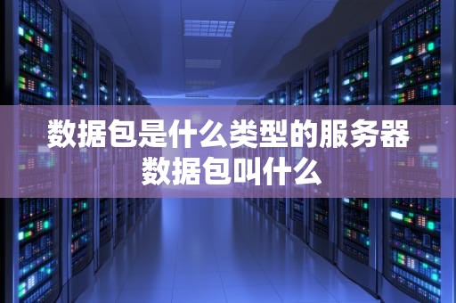 数据包是什么类型的服务器 数据包叫什么