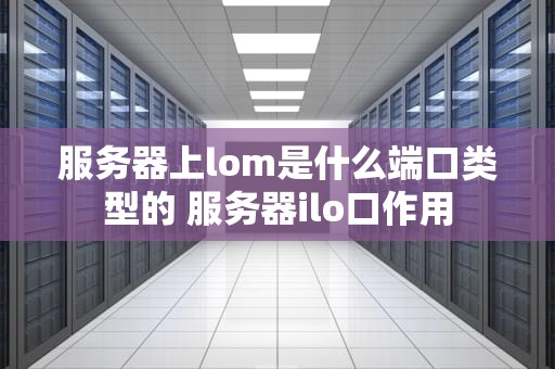 服务器上lom是什么端口类型的 服务器ilo口作用