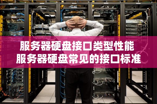 服务器硬盘接口类型性能 服务器硬盘常见的接口标准是