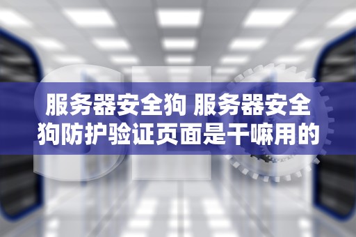 服务器安全狗 服务器安全狗防护验证页面是干嘛用的