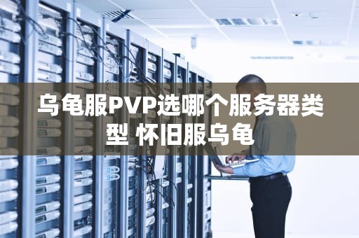 乌龟服PVP选哪个服务器类型 怀旧服乌龟