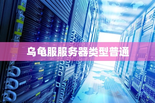乌龟服服务器类型普通