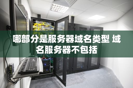 哪部分是服务器域名类型 域名服务器不包括