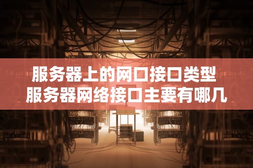 服务器上的网口接口类型 服务器网络接口主要有哪几种